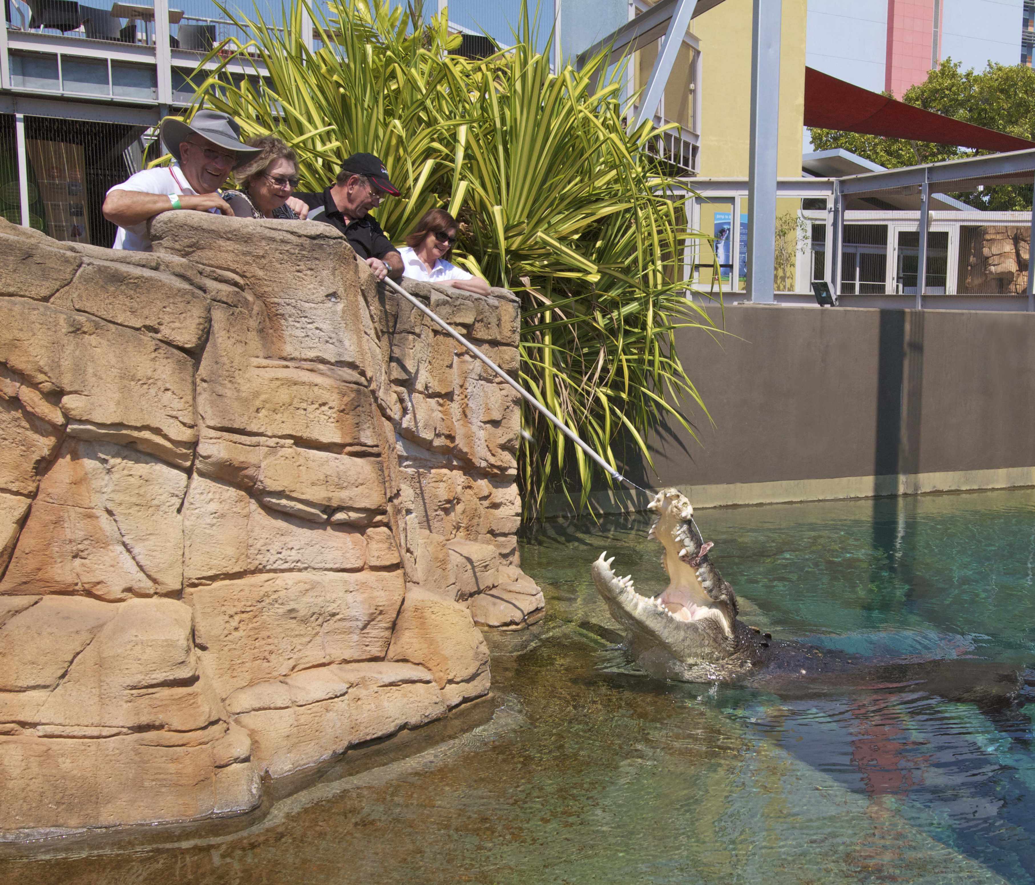 Big Croc Feed Experience Child - Gift Card